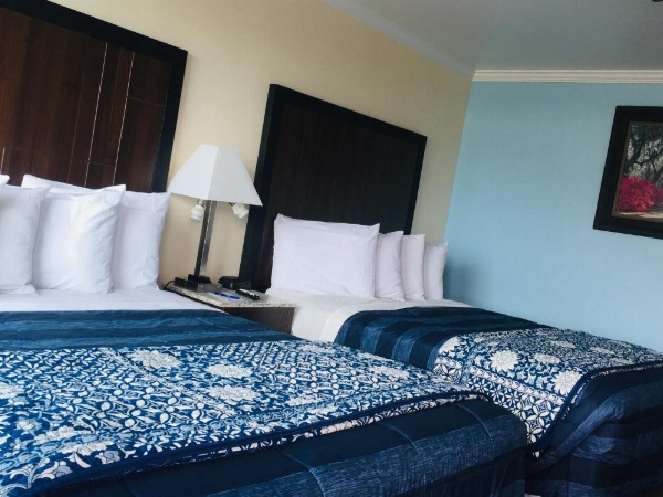 Dolphin Cove Motel image 12