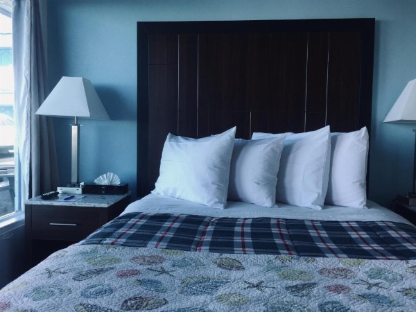 Dolphin Cove Motel image 20