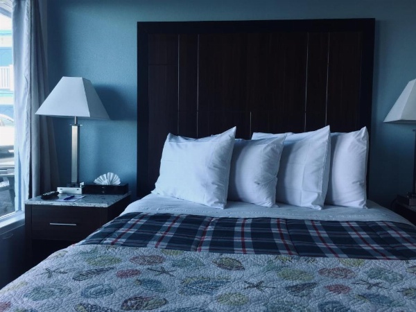 Dolphin Cove Motel image 21