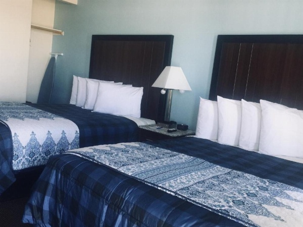 Dolphin Cove Motel image 6