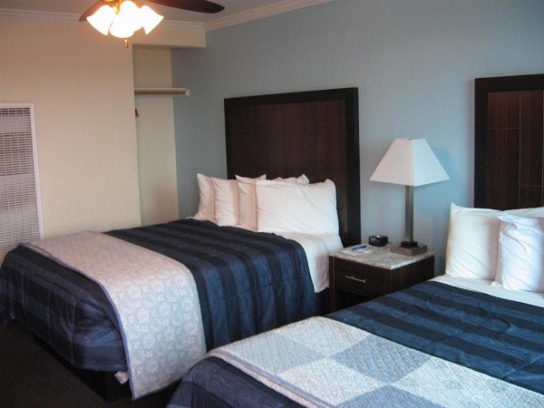 Dolphin Cove Motel image 98